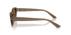 Ray-Ban RB 4457D 6779/83 Polarised Sunglasses