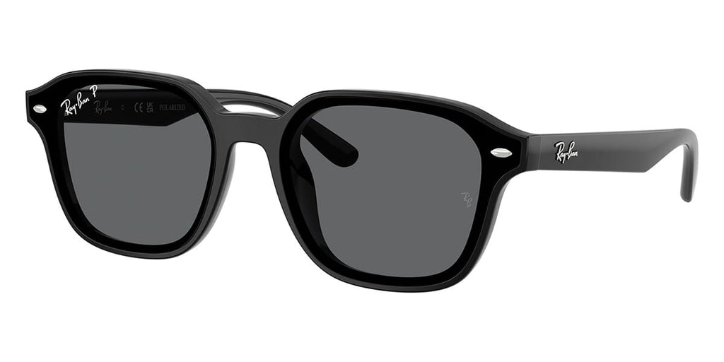 Ray-Ban RB 4458D 601/81 Polarised Sunglasses