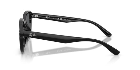 Ray-Ban RB 4458D 601/81 Polarised Sunglasses