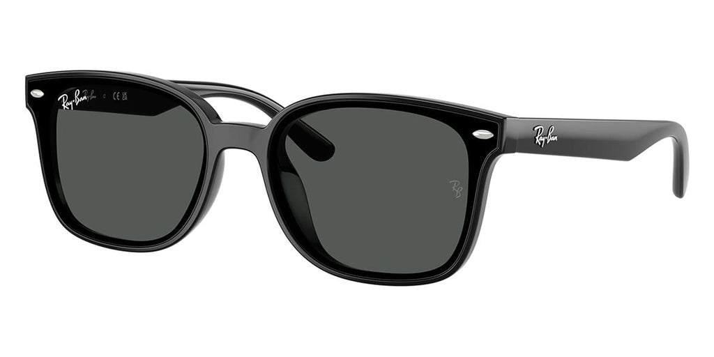 Ray-Ban RB 4461D 601/87 Sunglasses