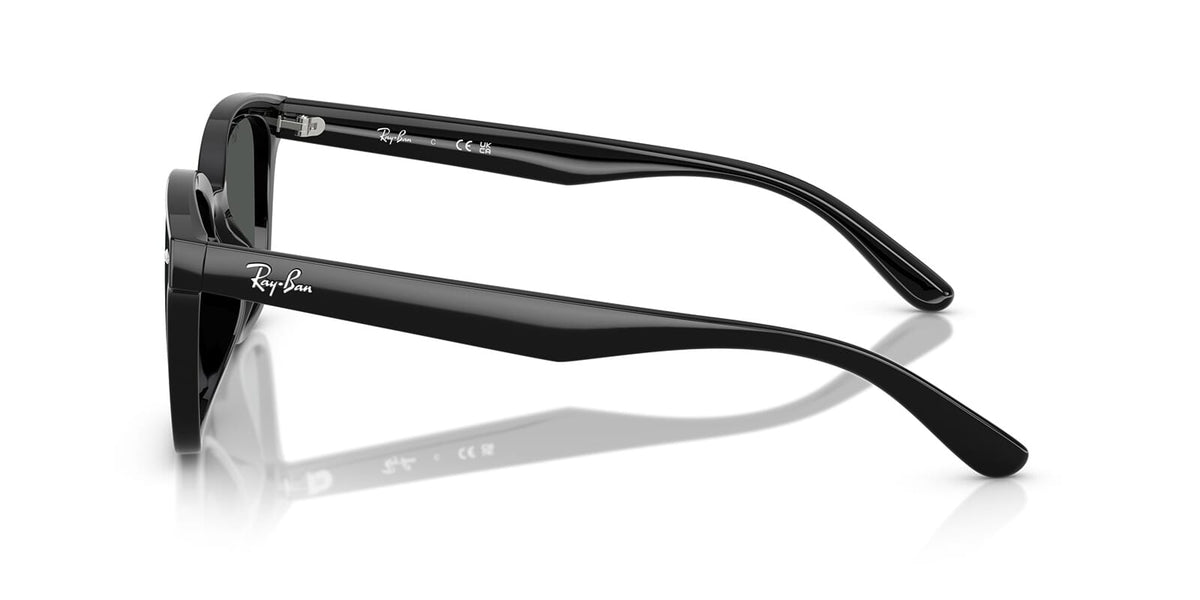Ray-Ban RB 4461D 601/87 Sunglasses