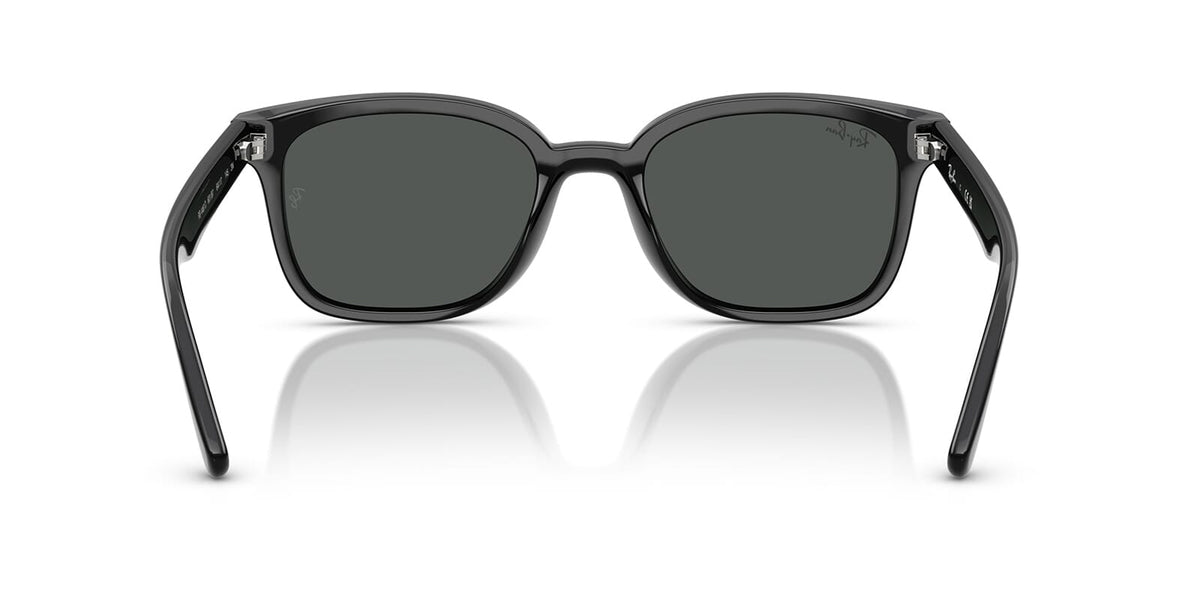 Ray-Ban RB 4461D 601/87 Sunglasses