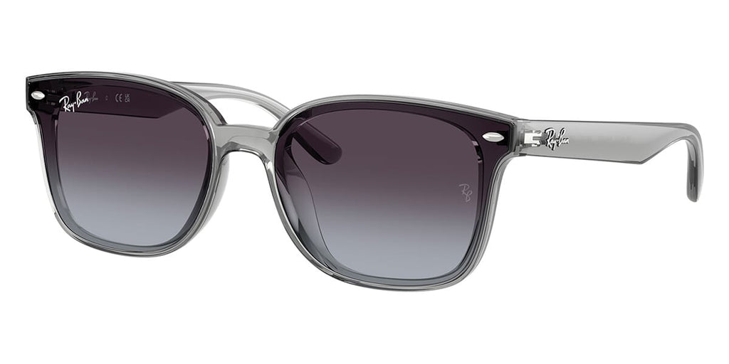 Ray-Ban RB 4461D 6450/8G Sunglasses