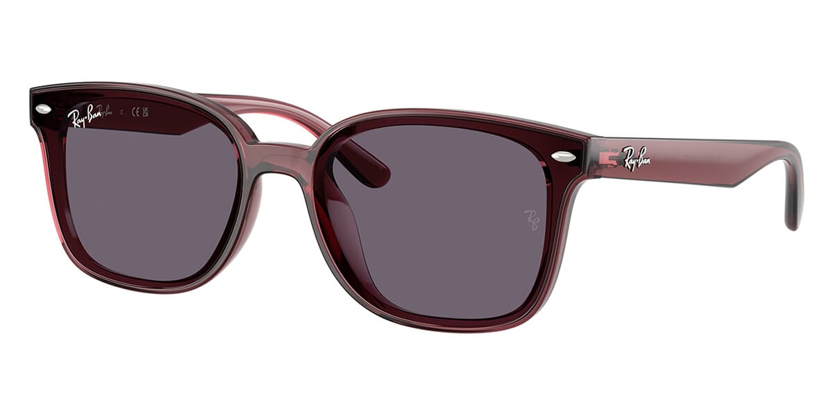 Ray-Ban RB 4461D 6593/73 Sunglasses