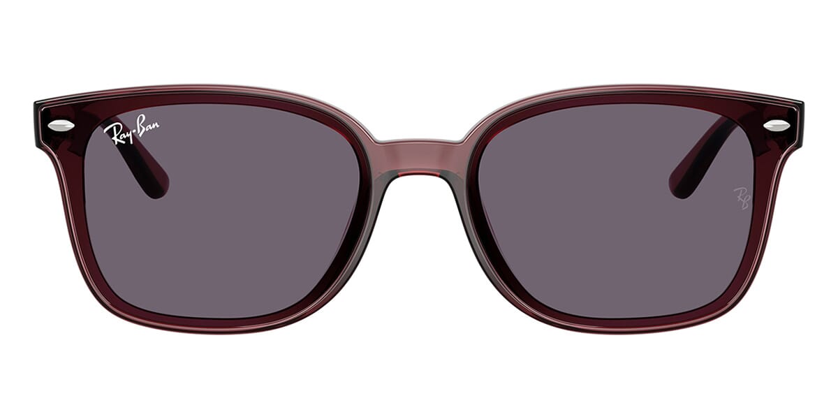 Ray-Ban RB 4461D 6593/73 Sunglasses