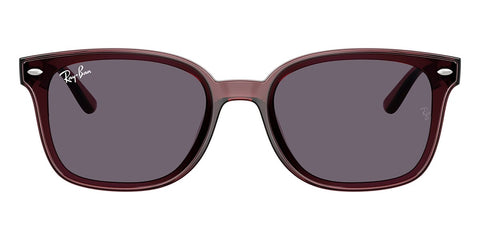 Ray-Ban RB 4461D 6593/73 Sunglasses