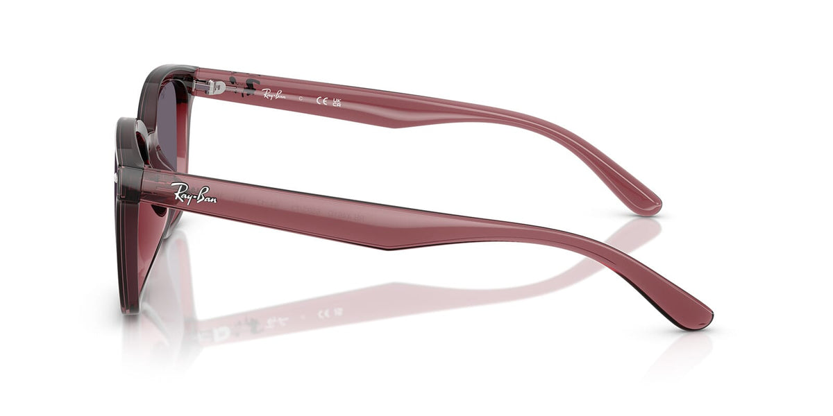 Ray-Ban RB 4461D 6593/73 Sunglasses