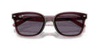 Ray-Ban RB 4461D 6593/73 Sunglasses