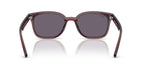Ray-Ban RB 4461D 6593/73 Sunglasses