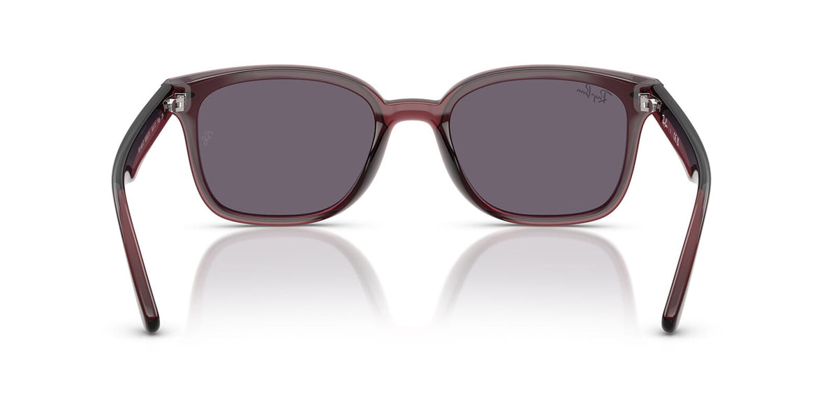 Ray-Ban RB 4461D 6593/73 Sunglasses