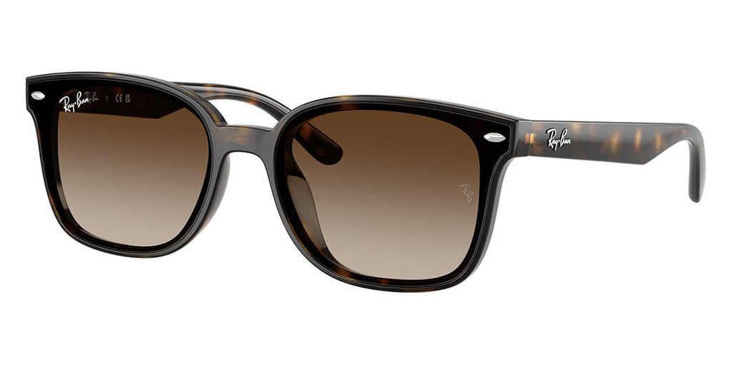 Ray-Ban RB 4461D 710/13 Sunglasses