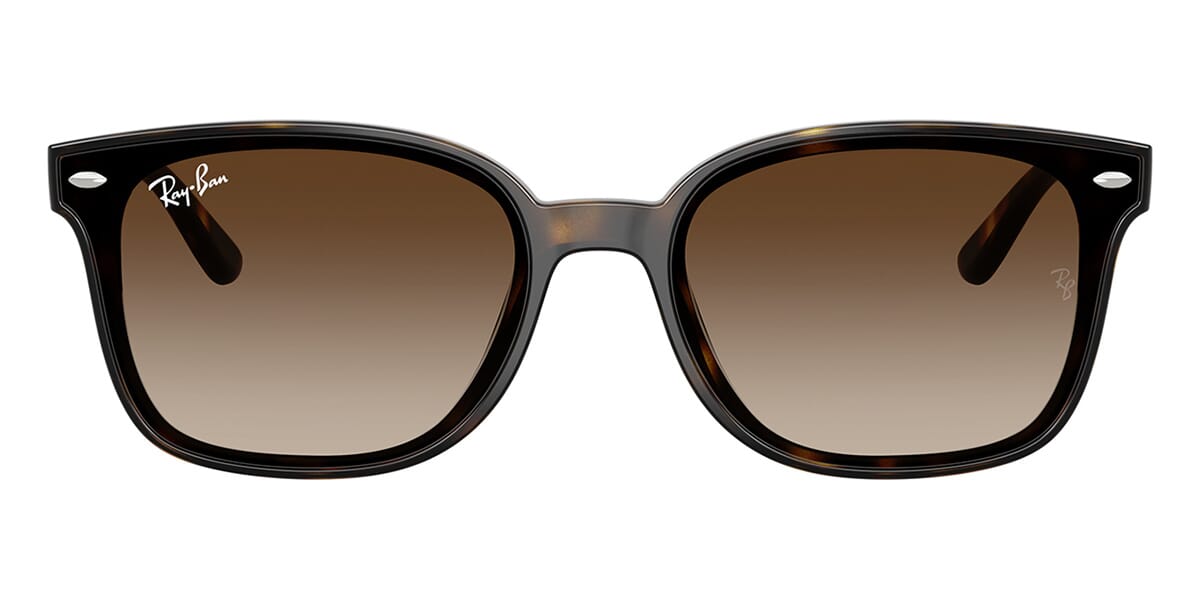 Ray-Ban RB 4461D 710/13 Sunglasses