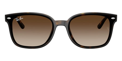 Ray-Ban RB 4461D 710/13 Sunglasses