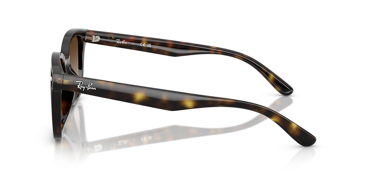 Ray-Ban RB 4461D 710/13 Sunglasses