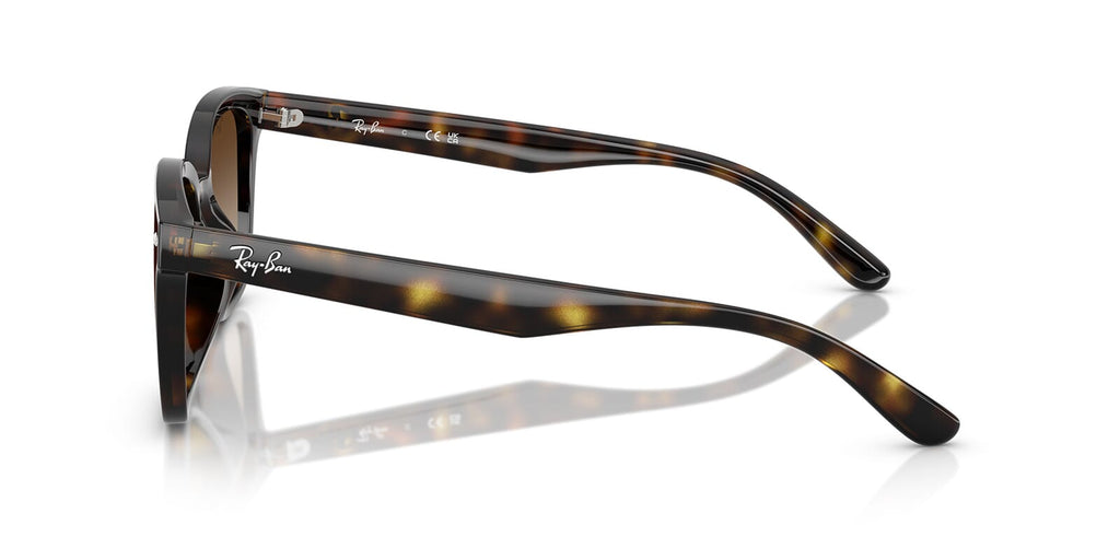 Ray-Ban RB 4461D 710/13 Sunglasses - US
