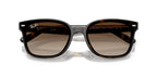 Ray-Ban RB 4461D 710/13 Sunglasses