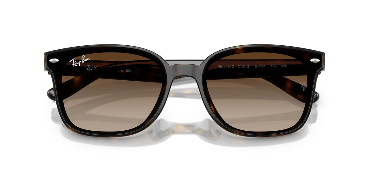 Ray-Ban RB 4461D 710/13 Sunglasses