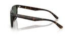 Ray-Ban RB 4466D 710/71 Sunglasses