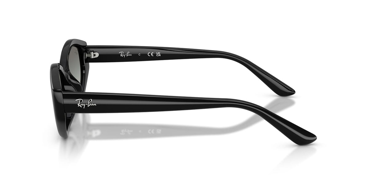 Ray-Ban RB 4473D 6677/11 Sunglasses