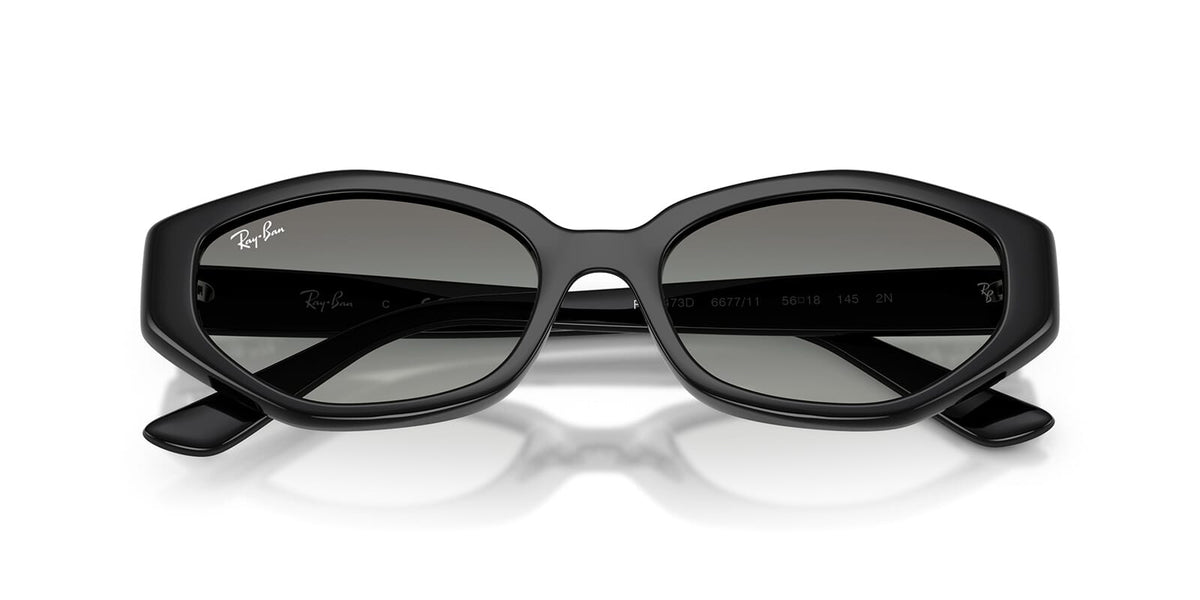 Ray-Ban RB 4473D 6677/11 Sunglasses