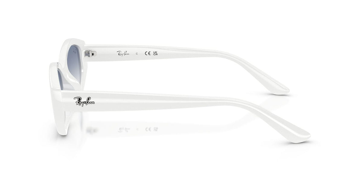 Ray-Ban RB 4473D 6772/19 Sunglasses