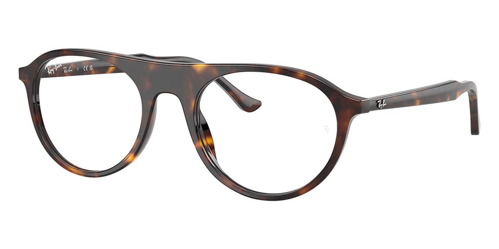 Ray-Ban RB 5441 2012 Glasses