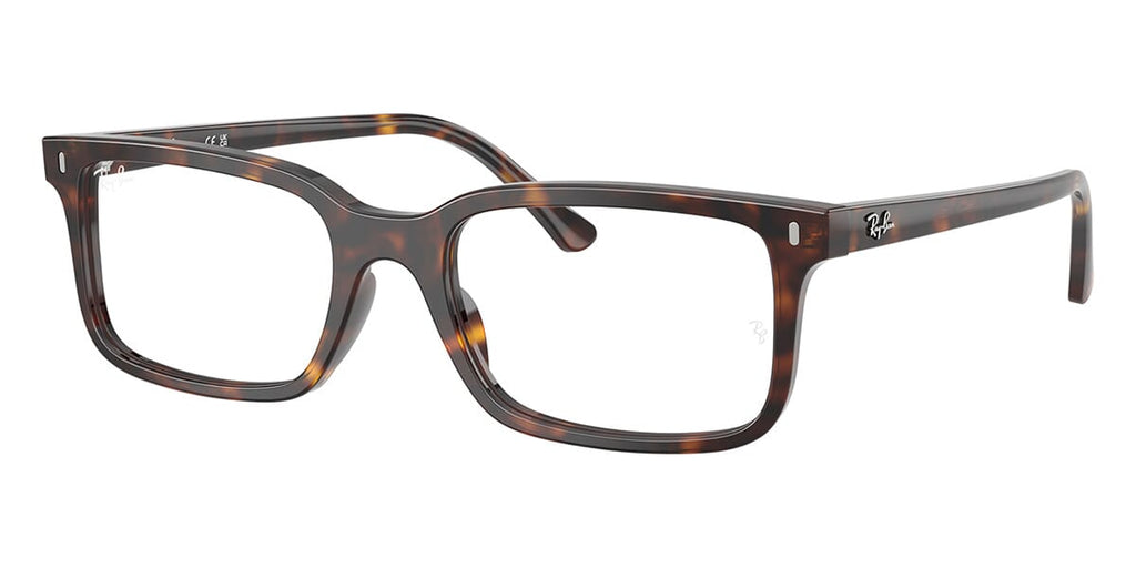Ray-Ban RB 5445 2012 Glasses