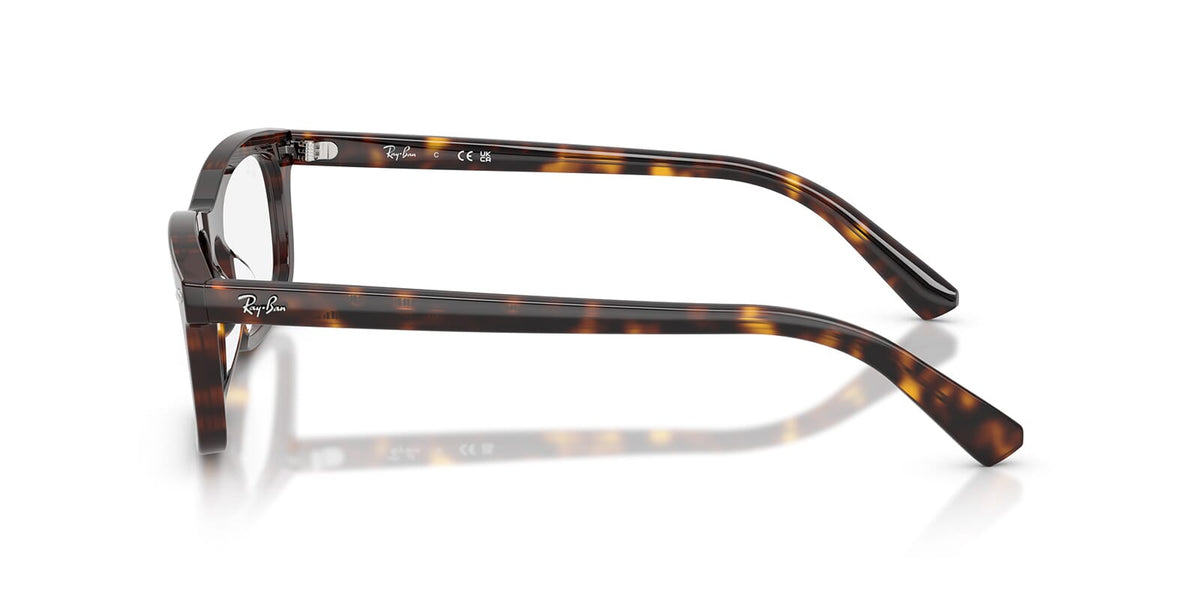 Ray-Ban RB 5450 2012 Glasses