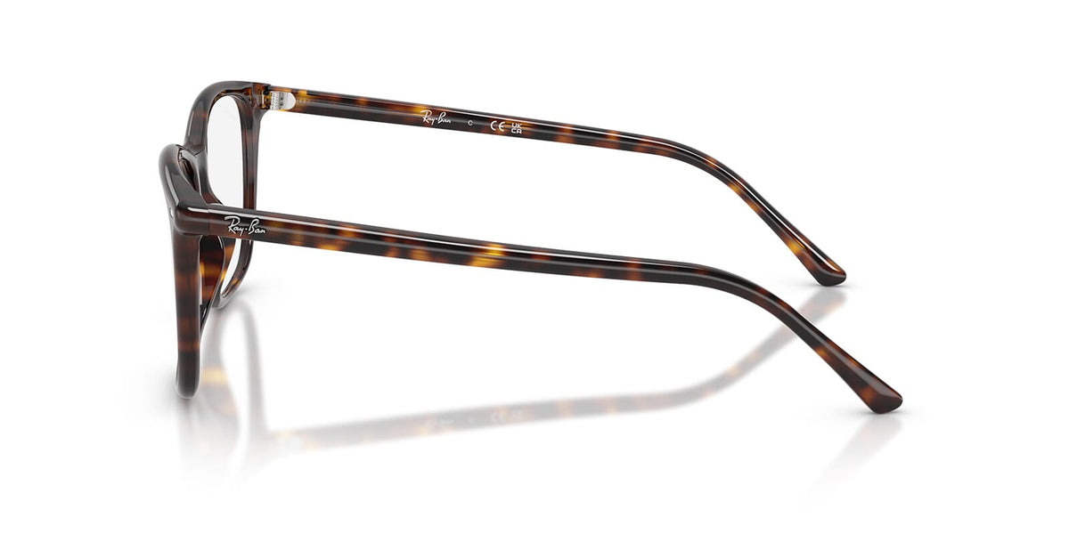 Ray-Ban RB 5455 2012 Glasses