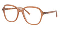 Ray-Ban RB 5456 8537 Glasses