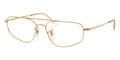 Ray-Ban RB 6550 2500 Glasses