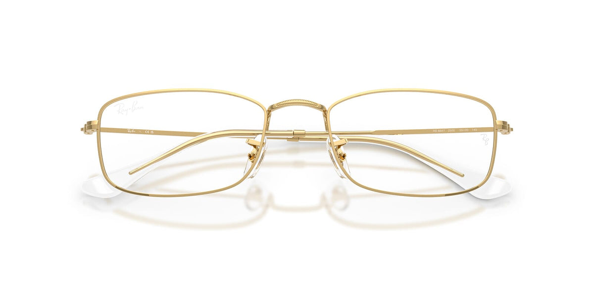 Ray-Ban RB 6647 2500 Glasses