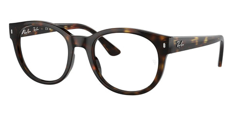 Ray-Ban RB 7227 2012 Glasses