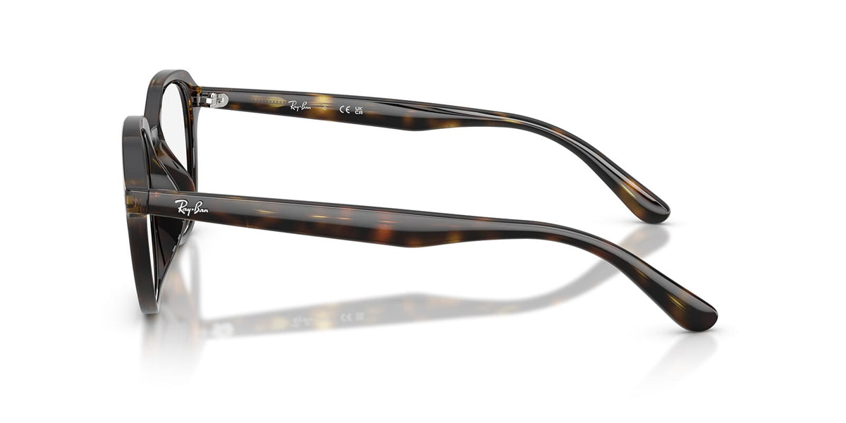 Ray-Ban RB 7259D 2012 Glasses