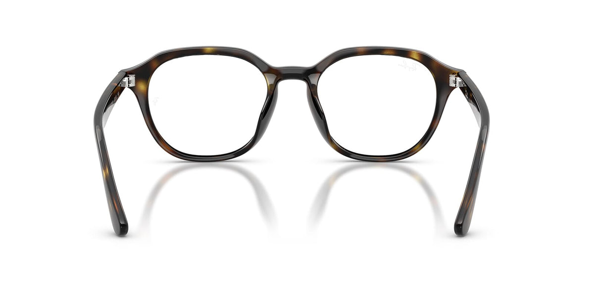 Ray-Ban RB 7259D 2012 Glasses