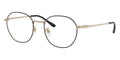 Ray-Ban RB 8778D 1250 Glasses