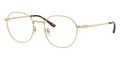 Ray-Ban RB 8778D 1251 Glasses