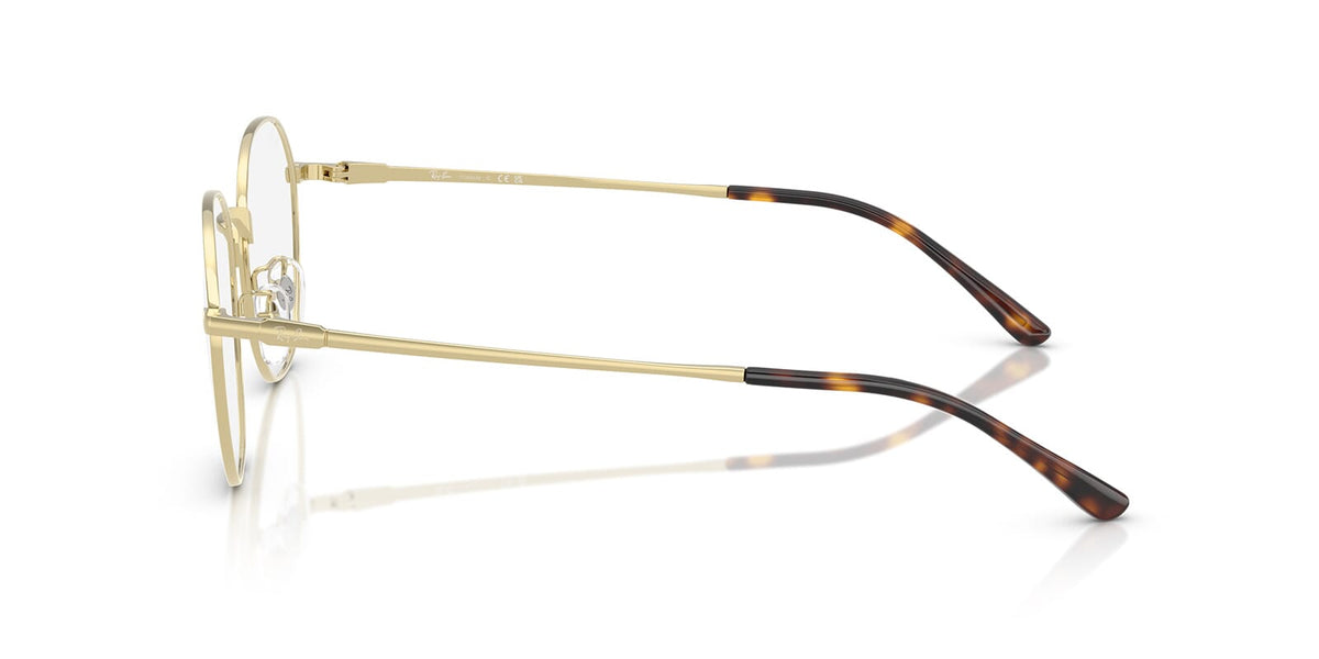 Ray-Ban RB 8778D 1251 Glasses