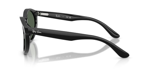 Ray-Ban RB R0505S 667/7VR Sunglasses