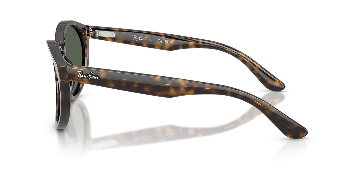 Ray-Ban RB R0505S 6790/VR Sunglasses