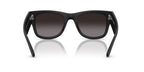 Ray-Ban RB 4840S 601S/T3 Polarised Sunglasses
