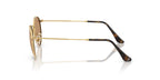 Ray-Ban Round Metal RB 3447 001/53 Sunglasses