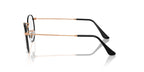 Ray-Ban Round Metal RB 3447V 3173 Glasses