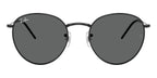 Ray-Ban Round Reverse RB R0103S 002/GR Sunglasses