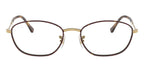 Ray-Ban RB 3749V 3177 Glasses