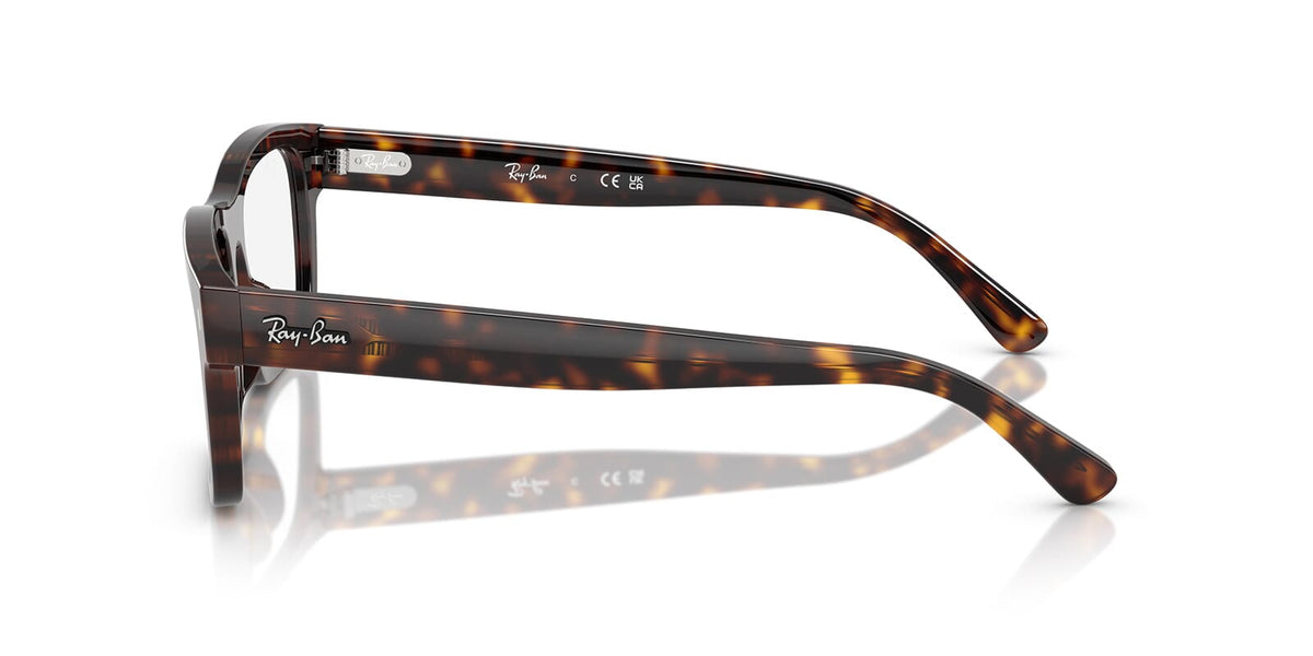 Ray-Ban RB 5435 2012 Glasses