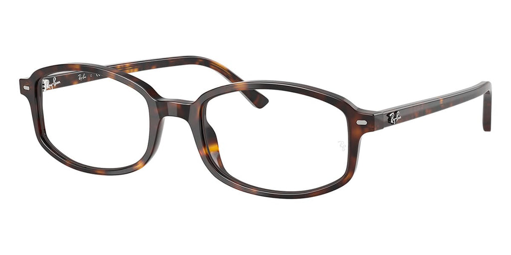 Ray-Ban Sam RB 5432 2012 Glasses