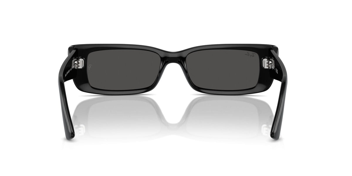Ray-Ban Teru RB 4425 6677/87 Sunglasses