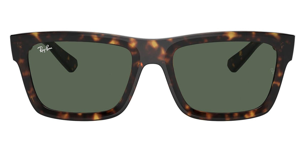 ray-ban-warren-rb-4396-135971-  display picture 1
