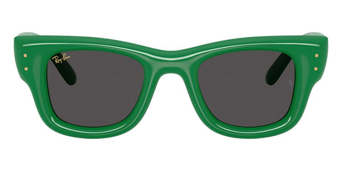 Ray-Ban Wayfarer Puffer RB 4940 6834/87 Sunglasses